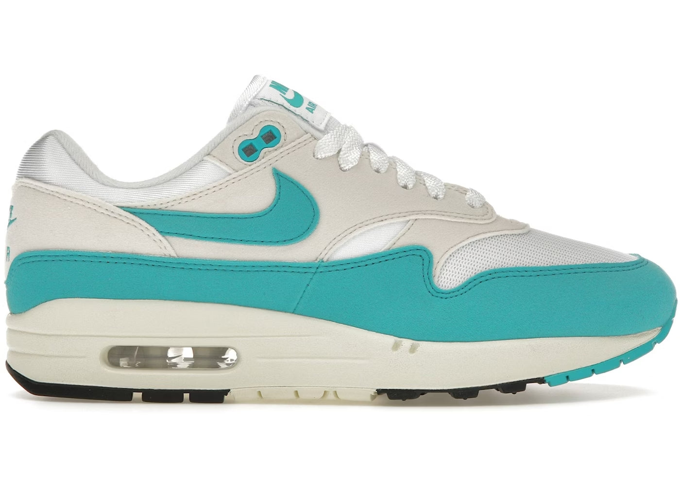 Nike Air Max 1 "Dusty Cactus"